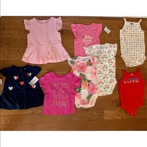 Baby Girl Onesie/Top Bundle